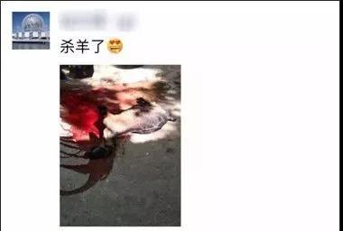 微信图片_20201019134651.jpg